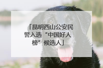 昆明西山公安民警入选“中国好人榜”候选人