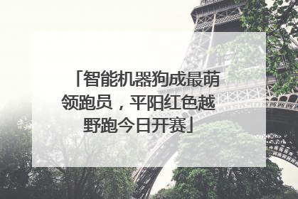 智能机器狗成最萌领跑员，平阳红色越野跑今日开赛