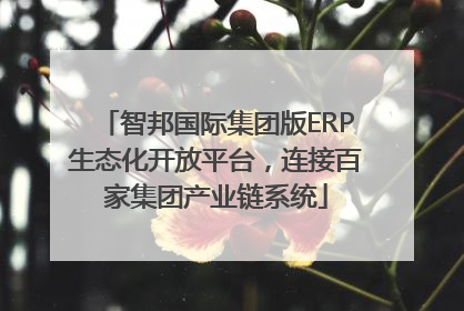 智邦国际集团版ERP生态化开放平台，连接百家集团产业链系统