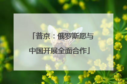 普京：俄罗斯愿与中国开展全面合作