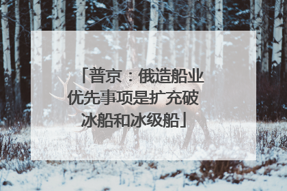普京：俄造船业优先事项是扩充破冰船和冰级船