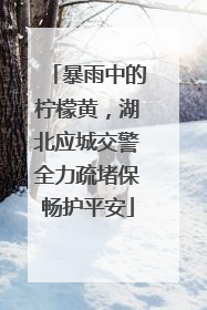暴雨中的柠檬黄，湖北应城交警全力疏堵保畅护平安