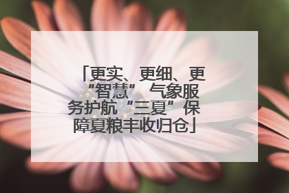 更实、更细、更“智慧” 气象服务护航“三夏”保障夏粮丰收归仓