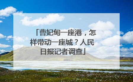 曹妃甸一座港，怎样带动一座城？人民日报记者调查