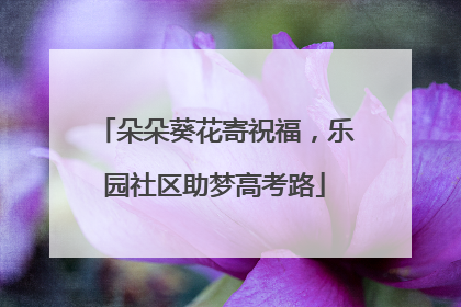 朵朵葵花寄祝福，乐园社区助梦高考路