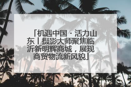 机遇中国・活力山东丨摄影大师聚焦临沂新明辉商城，展现商贸物流新风貌