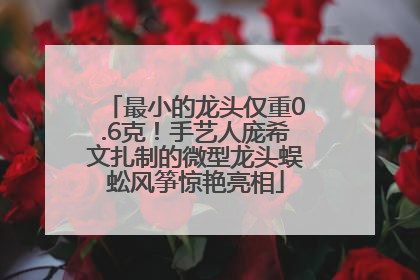最小的龙头仅重0.6克！手艺人庞希文扎制的微型龙头蜈蚣风筝惊艳亮相