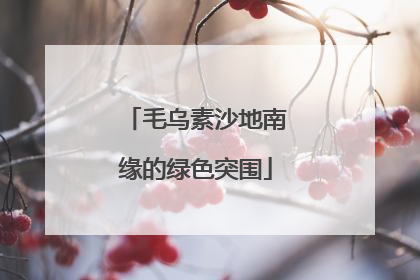 毛乌素沙地南缘的绿色突围