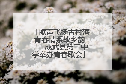 歌声飞扬古村落 青春情系故乡韵——成武县第二中学举办青春歌会