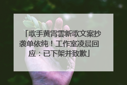 歌手黄霄雲新歌文案抄袭单依纯！工作室凌晨回应：已下架并致歉