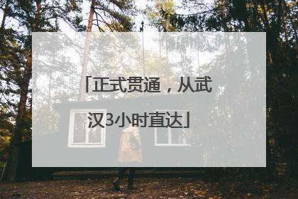 正式贯通，从武汉3小时直达