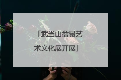 武当山盆景艺术文化展开展