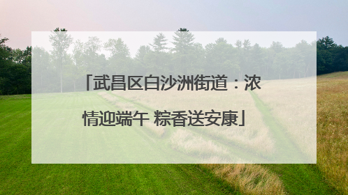 武昌区白沙洲街道：浓情迎端午 粽香送安康
