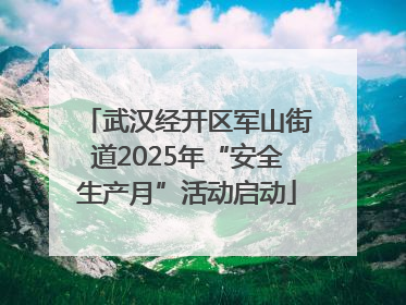 武汉经开区军山街道2025年“安全生产月”活动启动