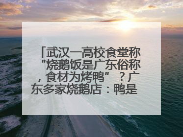 武汉一高校食堂称“烧鹅饭是广东俗称，食材为烤鸭”？广东多家烧鹅店：鸭是鸭鹅是鹅