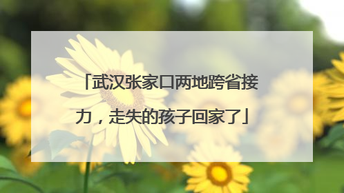 武汉张家口两地跨省接力，走失的孩子回家了