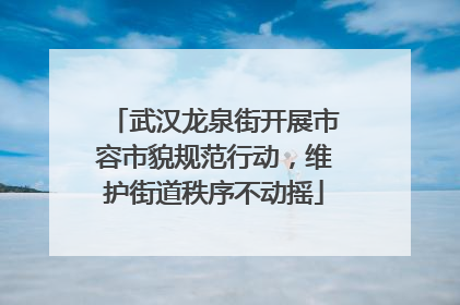 武汉龙泉街开展市容市貌规范行动，维护街道秩序不动摇