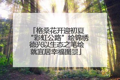 格桑花开迎初夏 “彩虹公路”绘锦绣 德兴以生态之笔绘就宜居幸福图景