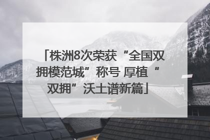 株洲8次荣获“全国双拥模范城”称号 厚植“双拥”沃土谱新篇