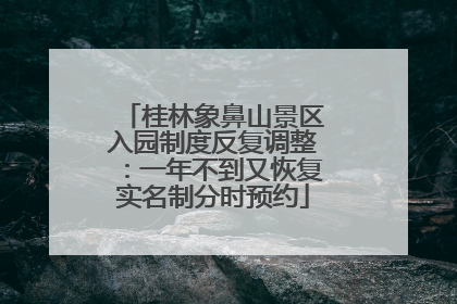 桂林象鼻山景区入园制度反复调整：一年不到又恢复实名制分时预约