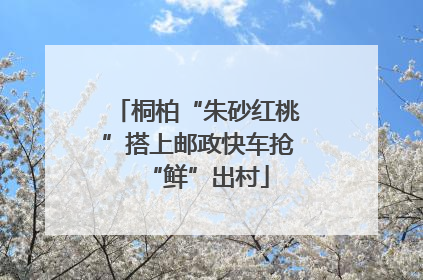 桐柏“朱砂红桃”搭上邮政快车抢“鲜”出村