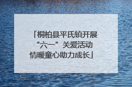 桐柏县平氏镇开展“六一”关爱活动 情暖童心助力成长