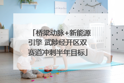 桥梁动脉+新能源引擎 武陟经开区双赛道冲刺半年目标