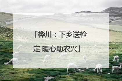 桦川：下乡送检定 暖心助农兴