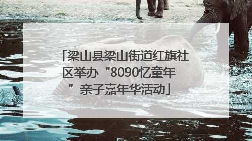 梁山县梁山街道红旗社区举办“8090忆童年”亲子嘉年华活动