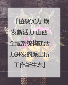 植硬实力 焕发新活力 山西全域系统构建活力迸发的派出所工作新生态