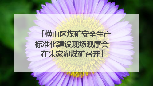 横山区煤矿安全生产标准化建设现场观摩会在朱家峁煤矿召开