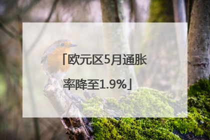 欧元区5月通胀率降至1.9%
