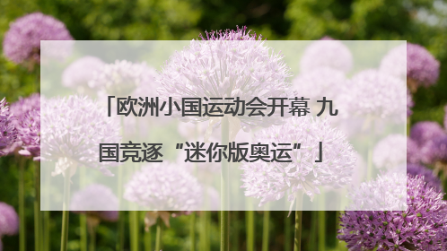 欧洲小国运动会开幕 九国竞逐“迷你版奥运”