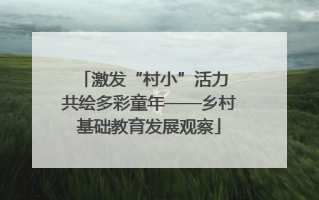 激发“村小”活力 共绘多彩童年——乡村基础教育发展观察