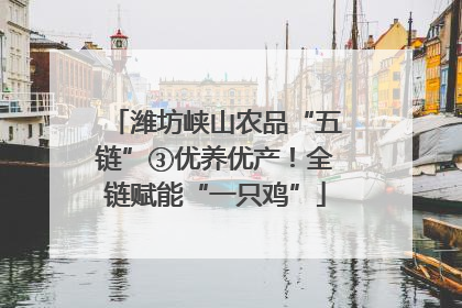 潍坊峡山农品“五链”③优养优产！全链赋能“一只鸡”