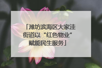 潍坊滨海区大家洼街道以“红色物业”赋能民生服务