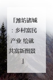 潍坊诸城：乡村富民产业 绘就共富新图景