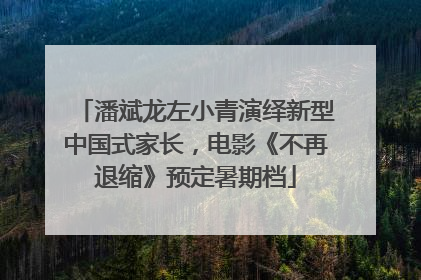 潘斌龙左小青演绎新型中国式家长，电影《不再退缩》预定暑期档