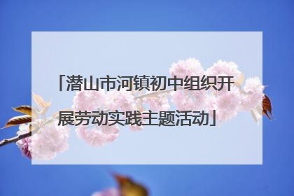 潜山市河镇初中组织开展劳动实践主题活动