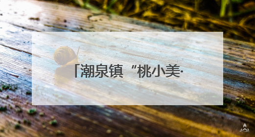潮泉镇“桃小美·泉心办”助力梦幻桃花源项目扬帆起航