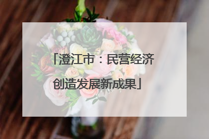 澄江市：民营经济创造发展新成果