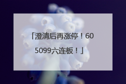 澄清后再涨停！605099六连板！