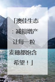 澳佳生态：减损增产 让每一粒麦穗都饱含希望！