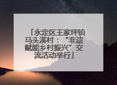 永定区王家坪镇马头溪村：“非遗赋能乡村振兴”交流活动举行