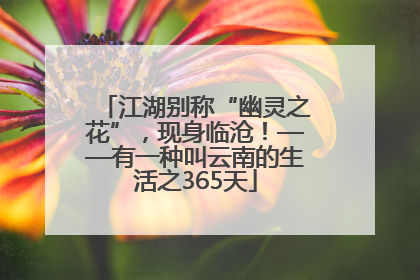 江湖别称“幽灵之花”，现身临沧！——有一种叫云南的生活之365天