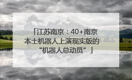 江苏南京：40+南京本土机器人上演现实版的“机器人总动员”
