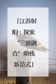 江苏射阳：探索“三链融合”助残新范式