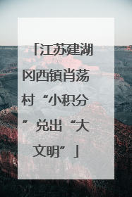 江苏建湖冈西镇肖荡村“小积分”兑出“大文明”