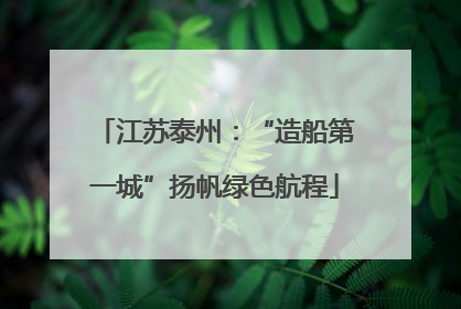 江苏泰州：“造船第一城”扬帆绿色航程