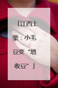 江西上栗：小毛豆变“增收豆”